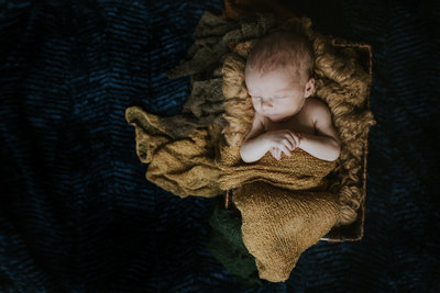 Pittsburgh-newborn-photographer-1