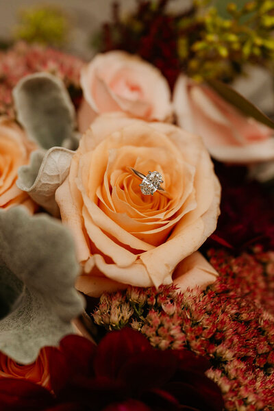 engagement ring on a rose