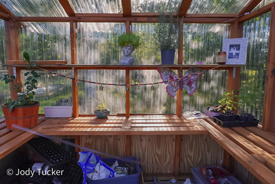 inside greenhouse 2024