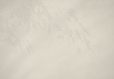 Shadows on wall