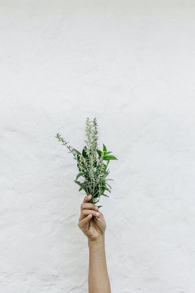 hand-holding-bouquet-of-wildflowers-against-white-wall