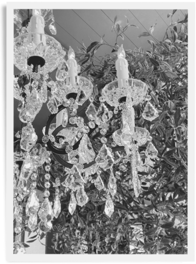 black and white photo of a crystal chandelier with greenery behind it