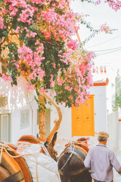 luxury travel concierge GG Mack planned vacation in Greece with flowers and trees