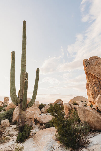 the best places to take maternity pictures in pheonix