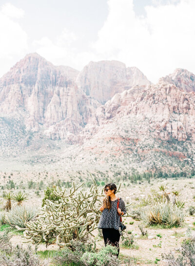 RedRockCanyon2017-31