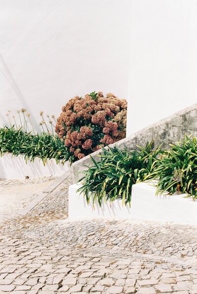 pelayo-arbues-s4a5m553F0k-unsplash