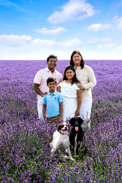 HoperFamily-Lavender_PDS-9274