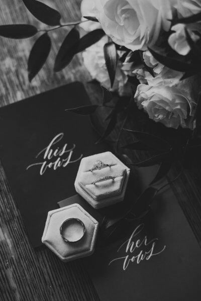 whitehall estate wedding photographer in northern virginia