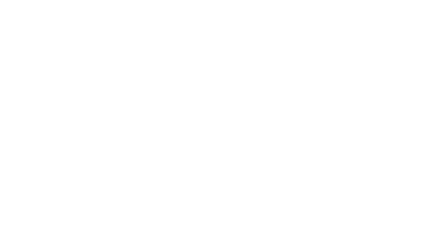 Wealth Strategies Partners logo