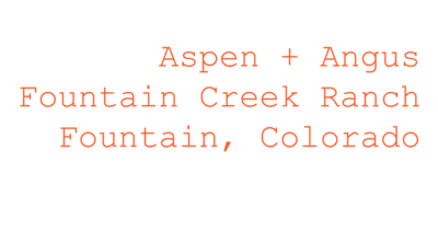 angus and aspen text