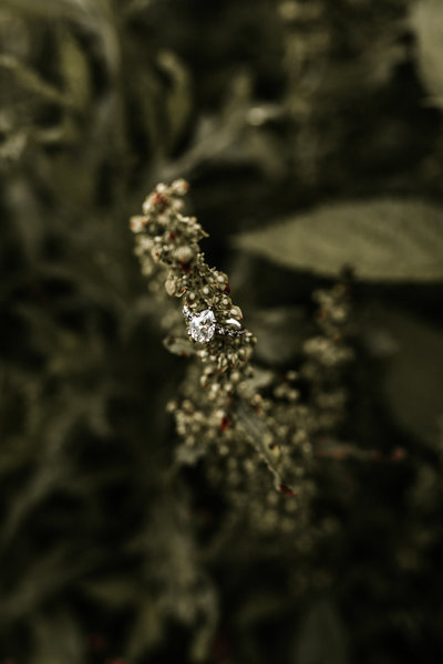 Sabrina_Sebastian_Engagement_Session_6.21.18-560