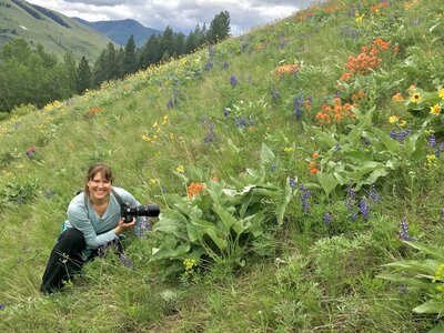 Wildflower photographer Carin Rene in field of Montana wildflowers