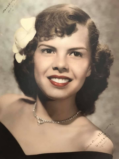 Showit Website Template and Custom Brand and Showit Web Design by With Grace and Gold