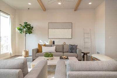 modern organic staging in new construction home