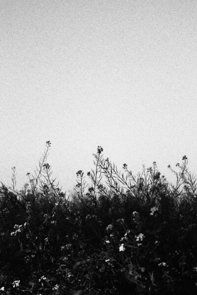 neelkamal-deka-gwYhY4POEzc-unsplash