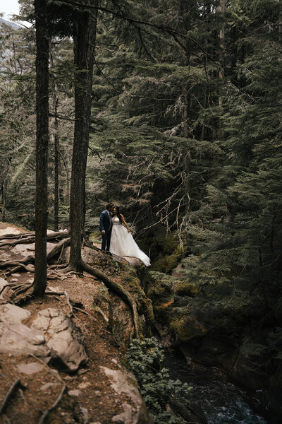 wedding gown forest montana landscape elopement couple