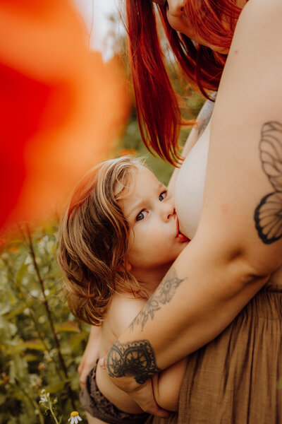 Newborn baby fotoshoot Noord Hollamd