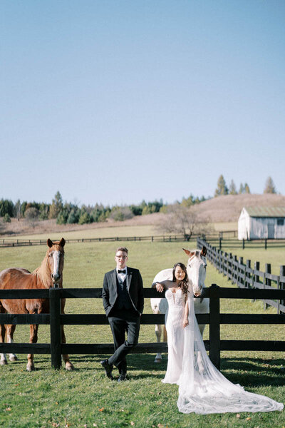 Bride and groom standing by horses at Caledon Valley Estate Barn, rustic wedding photography by Toronto-based photographer