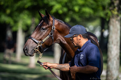 A sign for the VanMeter sales consignment at a Thoroughbred sale.
