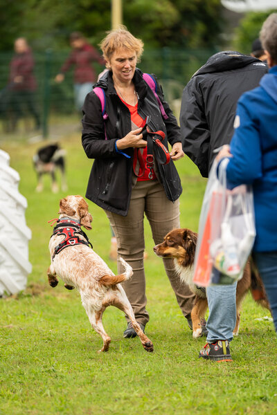 Honden rennen en spelen samen in de losloopzone tijdens het Just Woofing hondenevenement