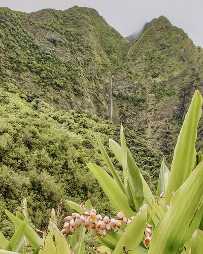 iao valley maui hawaii