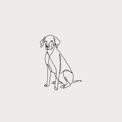 Illustration Shop - Pet Portrait