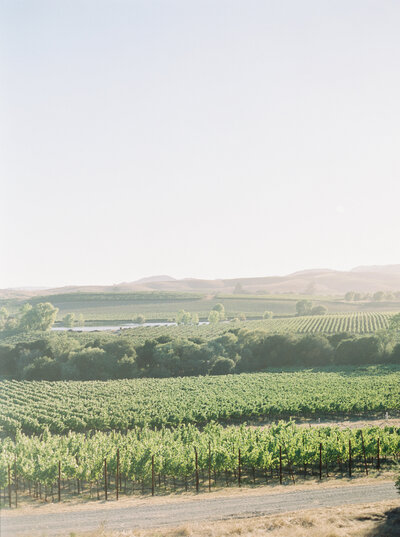 Emily March Photography Wilmington, North Carolina and Destination Wedding Engagement Photographer Heirloom Photography for Memorable Gatherings Light Airy Sentimental Imagery Images Weddings Risks_30