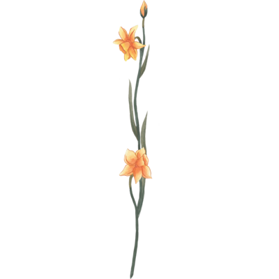 Boho graphic of wildflower lillies