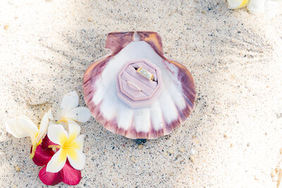 IzabelaIPhoto_Nicole+Hoku_W_7-31-25