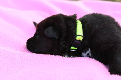 neon yellow girl