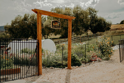 BearLakeBlooms_MCZPhotography-101
