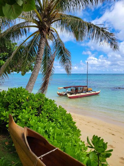 A sailing catamaran moored off the shores of O'ahu, Hawaii, with a palm tree in the foreground ©Stephanie Dosch | theViatrix l Luxury Travel ©Stephanie Dosch | theViatrix Luxury Travel