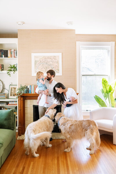 Chicago family in living room with dogs