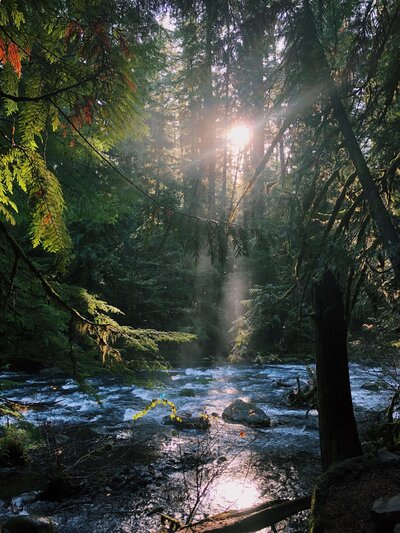 Sunlight shining on a river, representing the role of nature in holistic wellness.