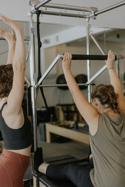 Circle vase with Pompas grass on neutral background