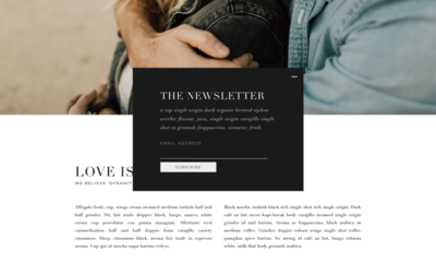 Newsletters 1