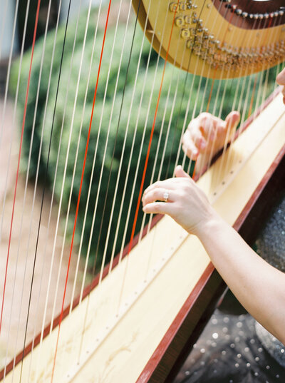 Bride_Groom_Harpist_Garden_Wedding_Griffin_Georgia_Meadowlark_1939_Shauna_Veasey_Photographer_poolside_1