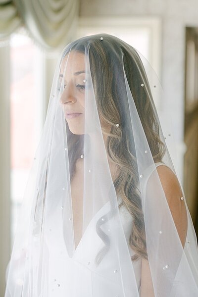bridal portrait under veil