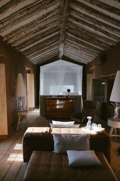 tara_analogromance-356