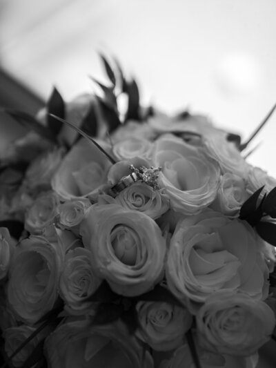 tampa wedding photographer, sarasota wedding photographer