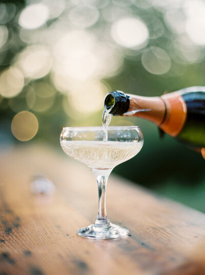 beverage photographer madison wisconsin