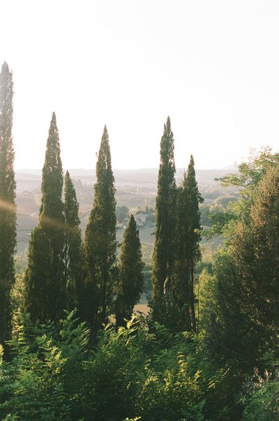 Photo of tuscan countryside taken during golden hour at a wedding in Tuscany, Italy