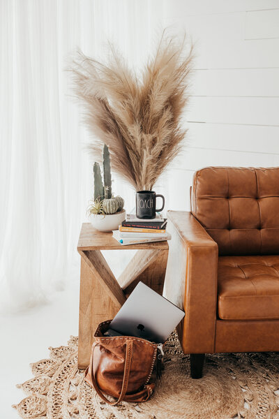 leather couch, coach, laptop, macbook air, pampas grass
