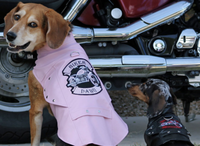 Biker Dawg Motorcycle Jacket $35.00