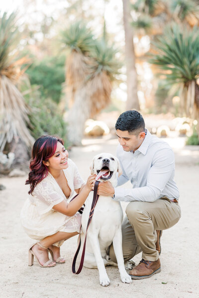 Engagement photos with dog - bay area photographer