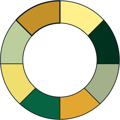 Group 29