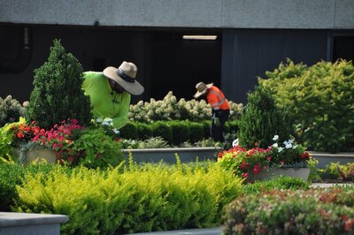 Two men in sun hats working outside at a Kansas City landscape job