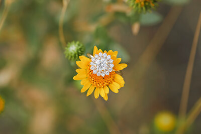 Montana-Engagement-Photographer-112