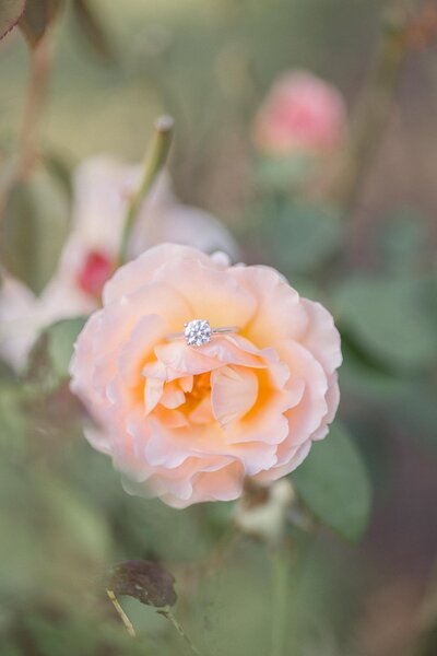 stephanieandmatt-aep-4691