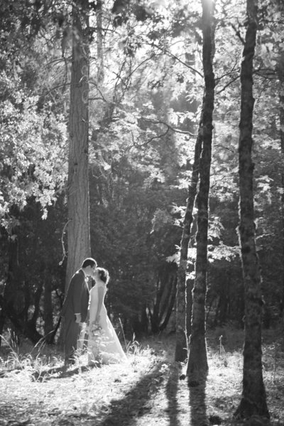 Joy of Life Events wedding planners couple kissing under pine trees at Empire Mine State Park Weddings, Grass Valley Wedding Fair